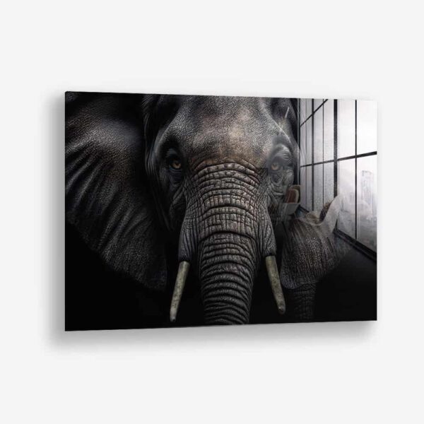 Elephant Close-Up – Verre