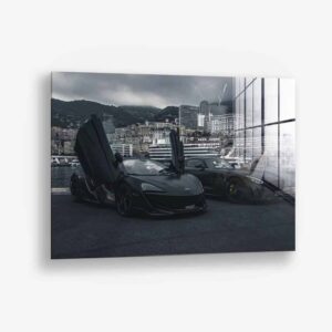 Butterfly Doors – Verre