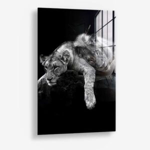 Lion Love – Verre