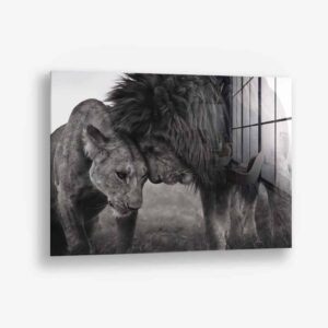 Loving Lion – Verre