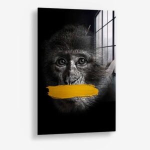 Monkey (speak no evil) – Verre