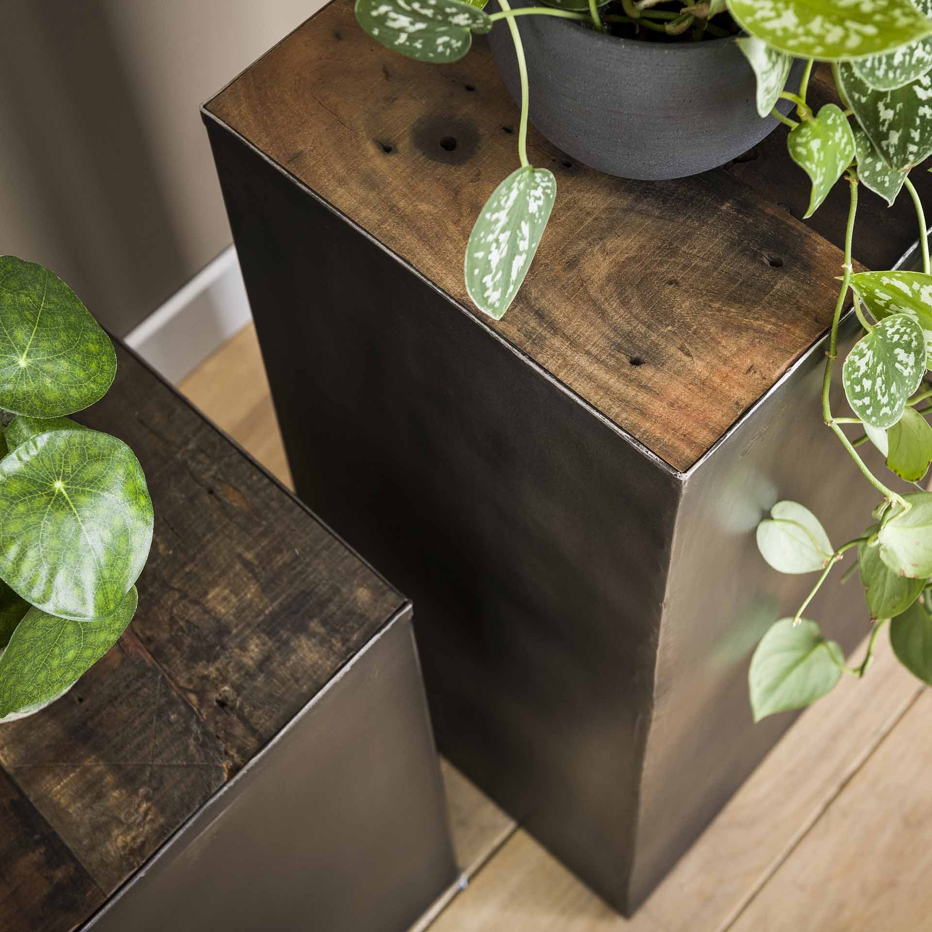 Colonne de fleurs 50 natural brush Raft steel / Bois dur robuste – Image 2