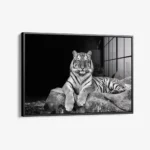 White Tiger – Verre – Image 2