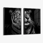 Lot: "B&W Tiger" (2x) – Verre – Image 2