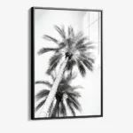 Under The Palm Trees – Verre – Image 2