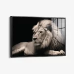 King of the Wild – Verre – Image 2
