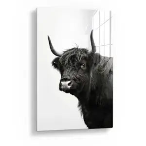 Animaux