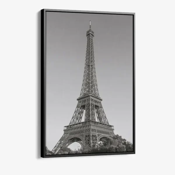 "Parisian Sentinel"