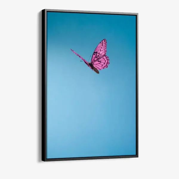 "Sapphire Expanse"