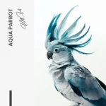 Aqua Parrot – Verre – Image 5