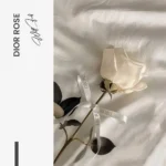 Dior Rose – Verre – Image 5