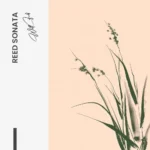 Reed Sonata – Verre – Image 5