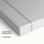 Lot: "CC Summer" (3x) – Image 2