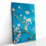 "Almond Sky" – Image 2