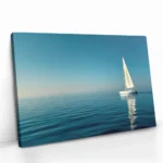 "Catching the Wind I" – Image 2