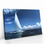 "Catching the Wind II" – Image 2