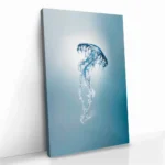 "Ocean Lantern" – Image 2
