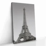 "Parisian Sentinel" – Image 2