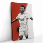 "Saka" – Image 2
