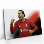 "Virgil van Dijk" – Image 2