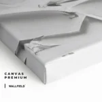 "Plaster Rebirth" – Image 4