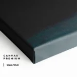 "Shadow Carrera" – Image 4