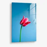 Singular Tulip – Verre