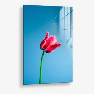 Singular Tulip – Verre