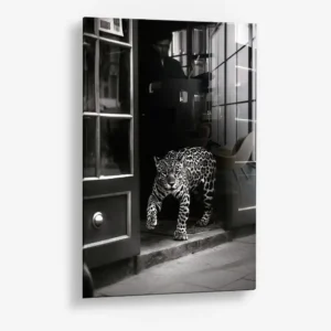 Urban Prowl – Verre