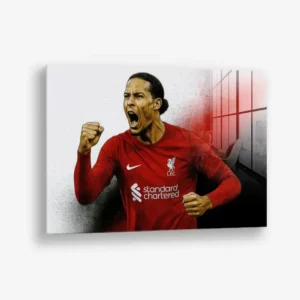 Virgil van Dijk – Verre