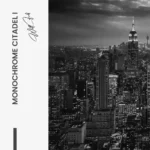 Lot: "Monochrome Citadel" (3x) – Image 4