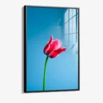 Singular Tulip – Verre – Image 2