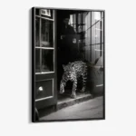Urban Prowl – Verre – Image 2