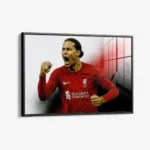 Virgil van Dijk – Verre – Image 2