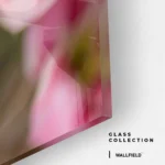 Crimson Ratio – Verre – Image 4