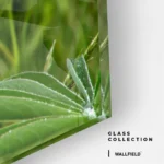 Field Cipher – Verre – Image 4
