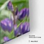 Upright Signal – Verre – Image 4