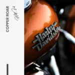 Copper Roar – Verre – Image 5