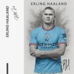 Erling Haaland – Verre – Image 5