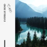 Everblue Bend – Verre – Image 5