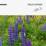 Field Cipher – Verre – Image 5