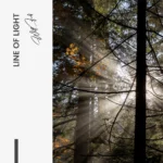 "Line of Light" – Image 7