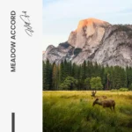 "Meadow Accord" – Image 7