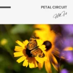 "Petal Circuit" – Image 7
