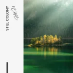 "Still Colony" – Image 7