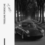 "Treeline Porsche" – Image 7