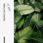 Tropic Pattern – Verre – Image 5