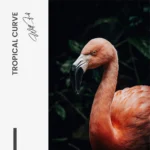 "Tropical Curve" – Image 7