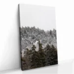 "Branchmark" – Image 2