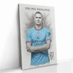 "Erling Haaland" – Image 2